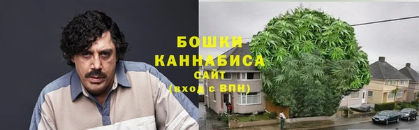 ГАЛЛЮЦИНОГЕННЫЕ ГРИБЫ Верхнеуральск